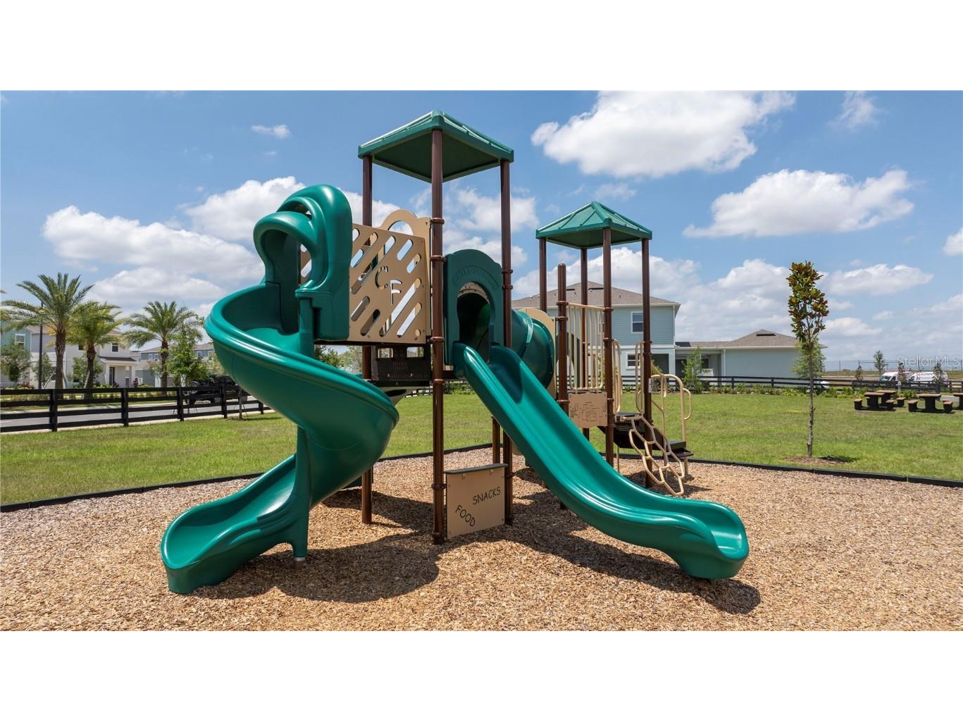 16302 Hamlin Hills Road Winter Garden FL 34787 O6331200 image48