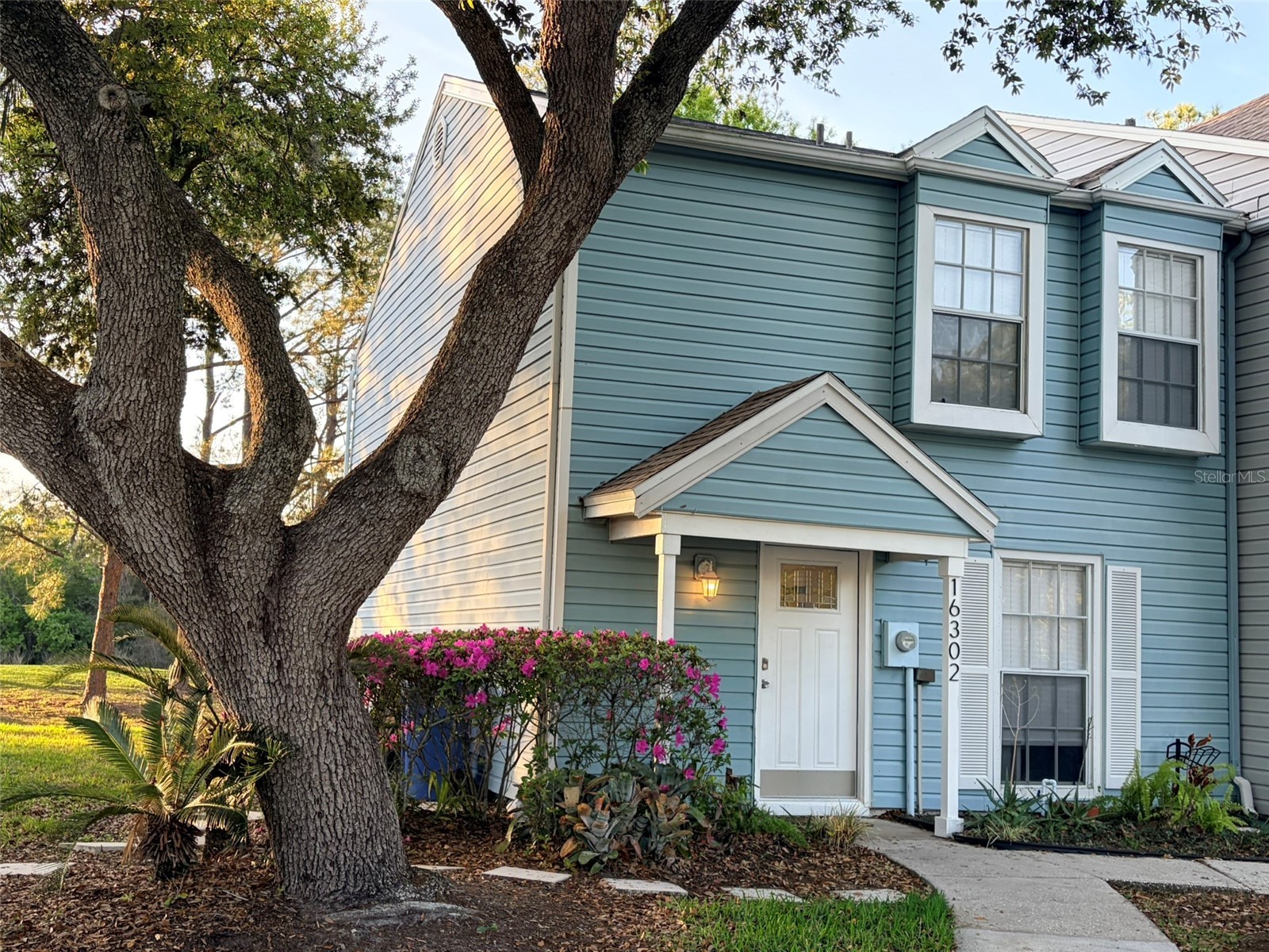 16302 Rambling Vine Drive W Tampa FL 33624 TB8487768 image1