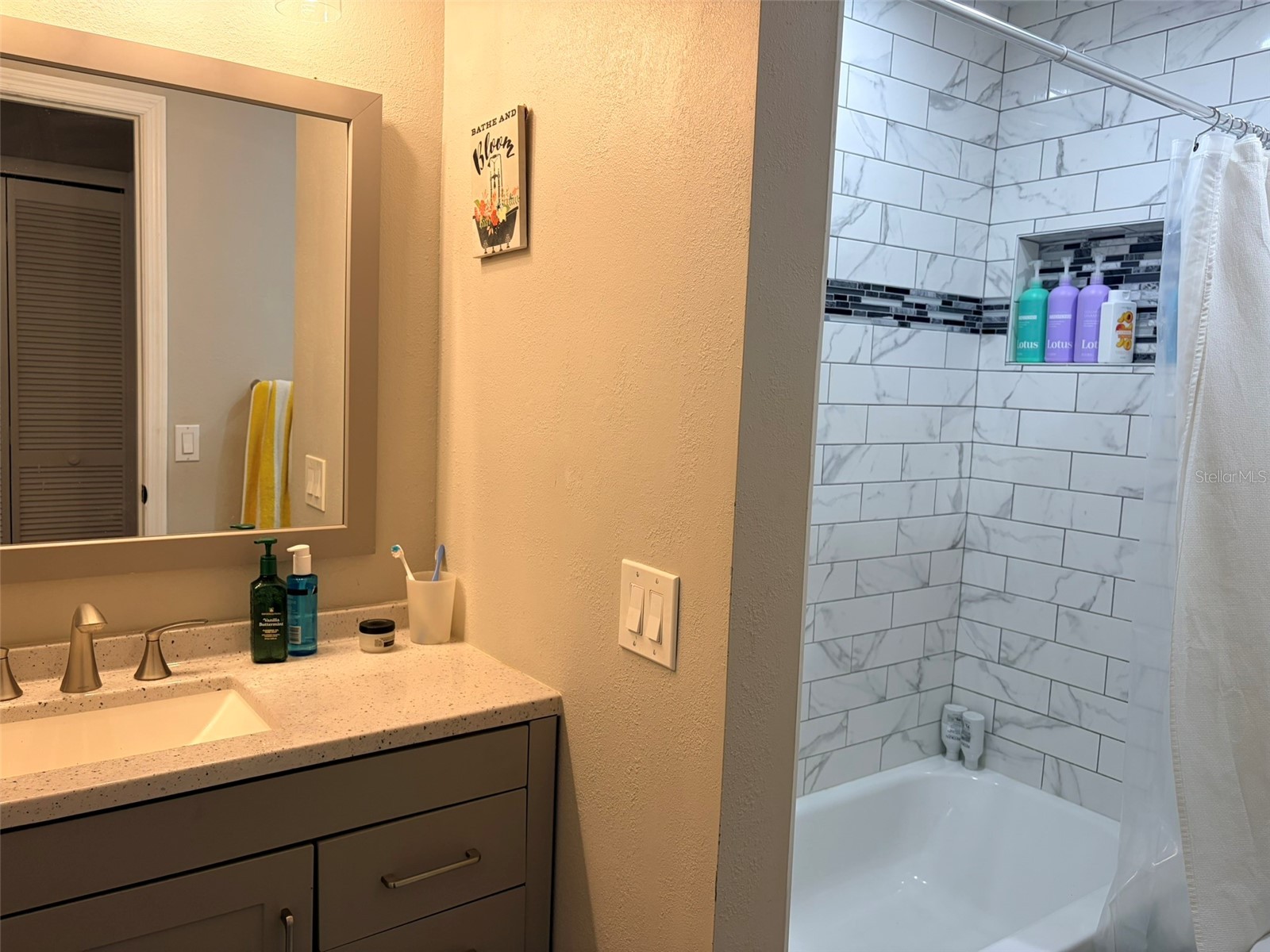 16302 Rambling Vine Drive W Tampa FL 33624 TB8487768 image33