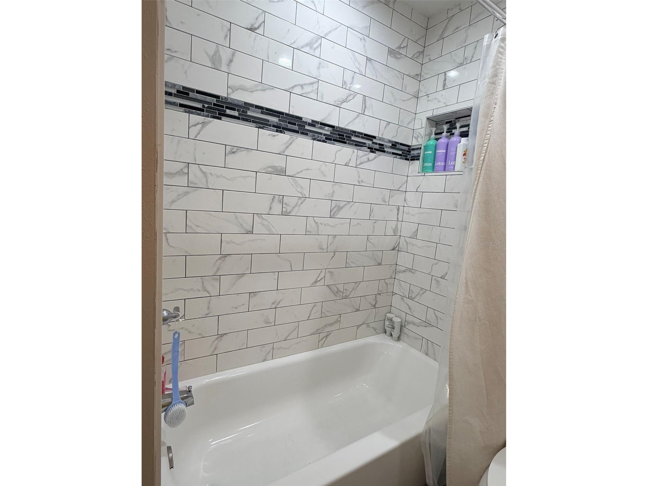 16302 Rambling Vine Drive W Tampa FL 33624 TB8487768 image34