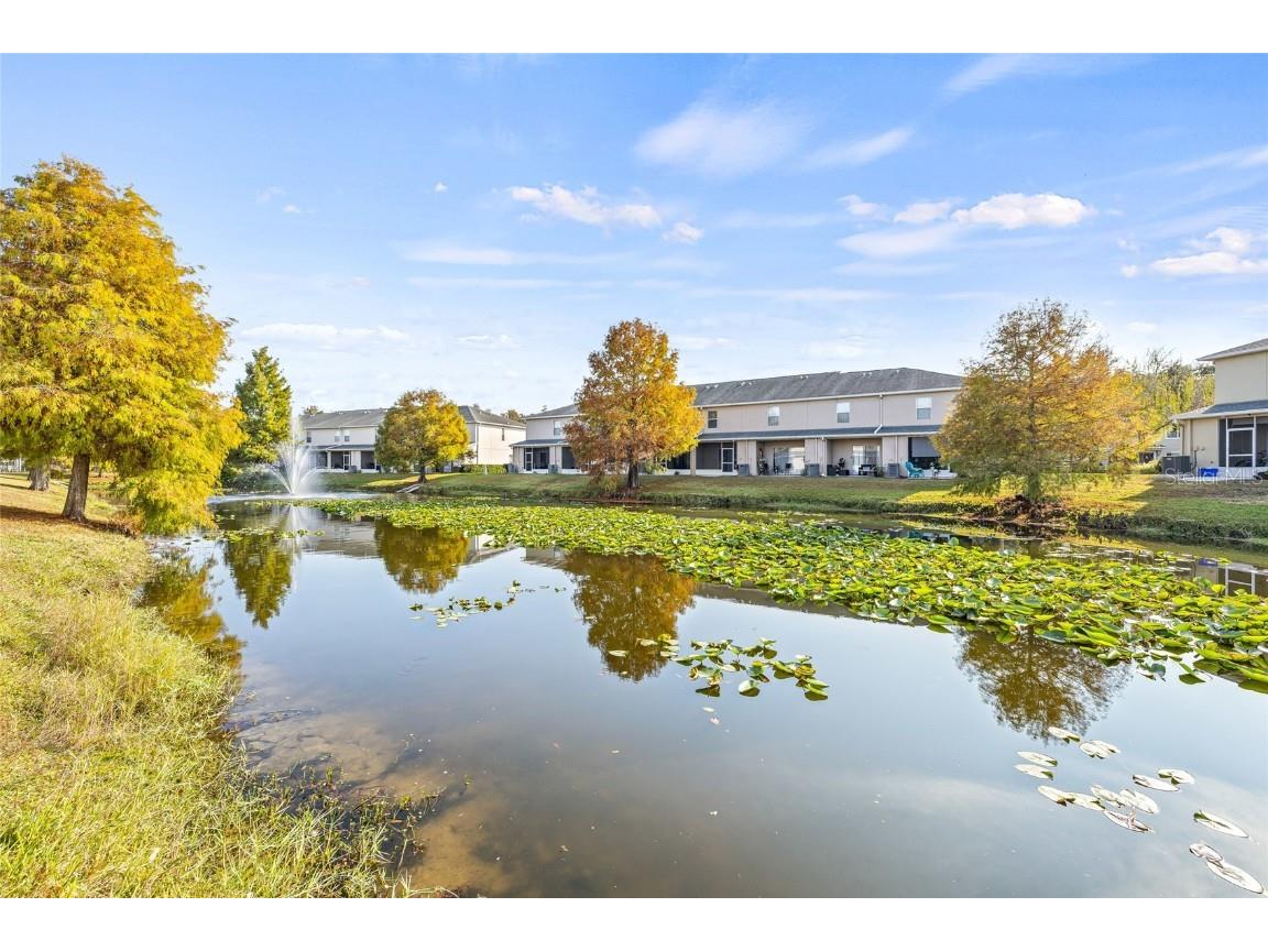 16302 Swan View Circle Odessa FL 33556 TB8452260 image34