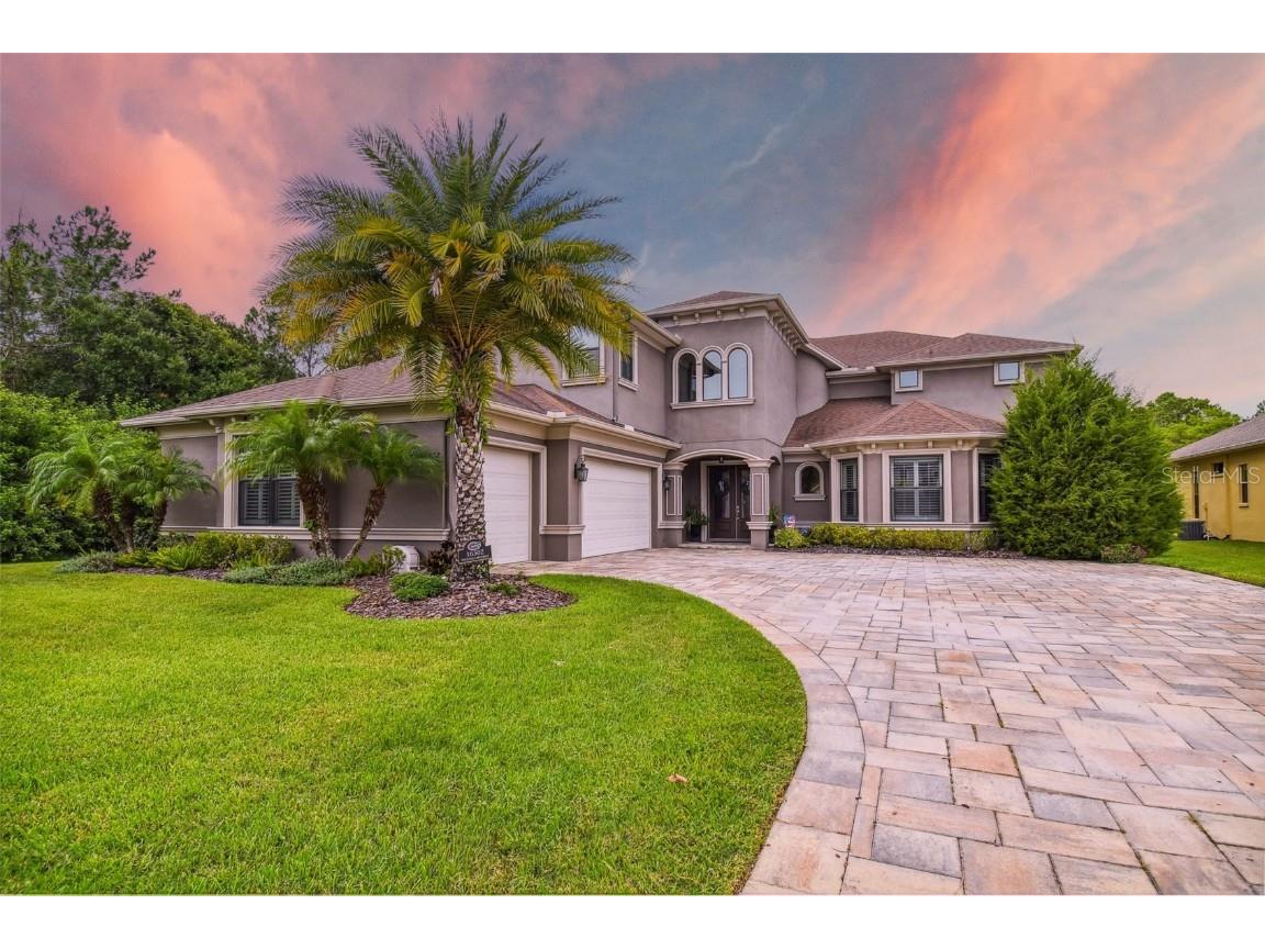 16302 Wild Mallard Drive Odessa FL 33556 T3461192 image1