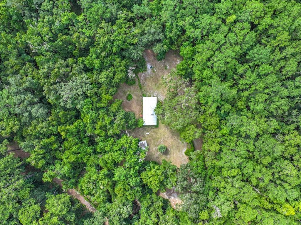 16303 SW 75th Street Archer FL 32618 V4944093 image2