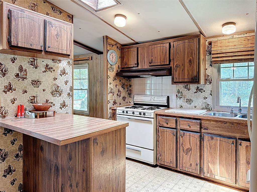 16303 SW 75th Street Archer FL 32618 V4944093 image28