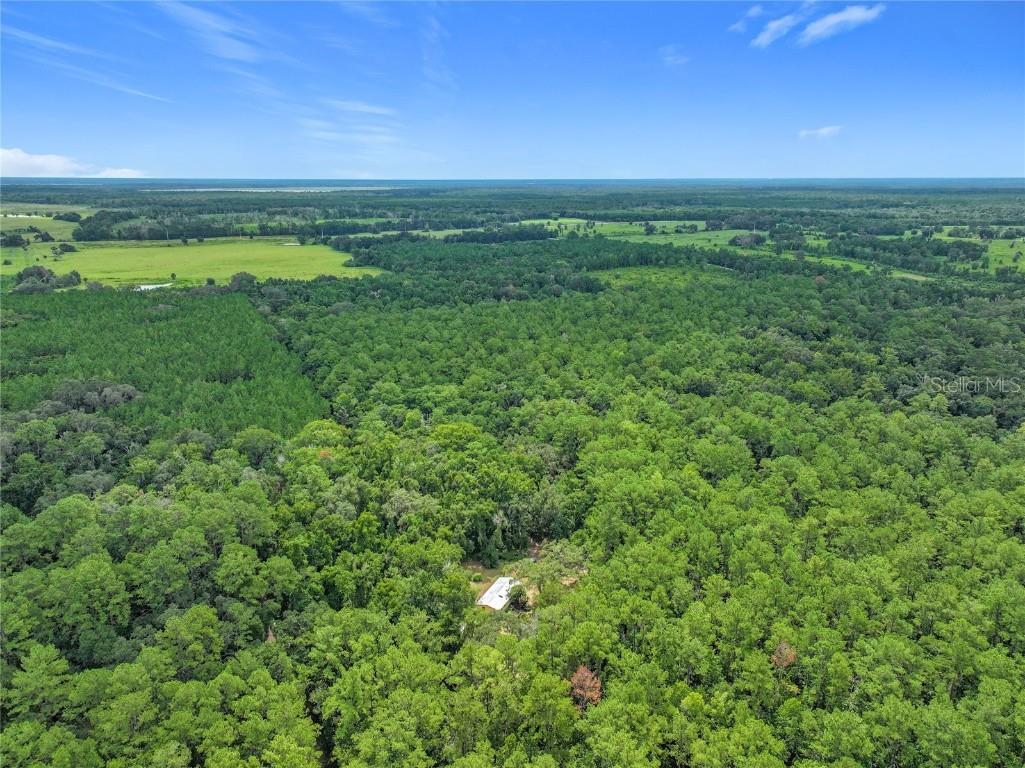 16303 SW 75th Street Archer FL 32618 V4944093 image6