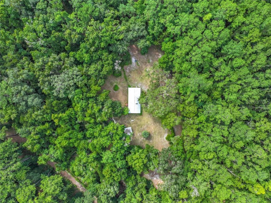 16303 SW 75th Street Archer FL 32618 V4944093 image63