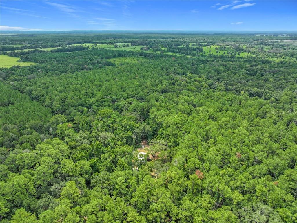 16303 SW 75th Street Archer FL 32618 V4944093 image65