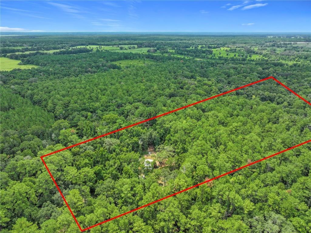 16303 SW 75th Street Archer FL 32618 V4944093 image66