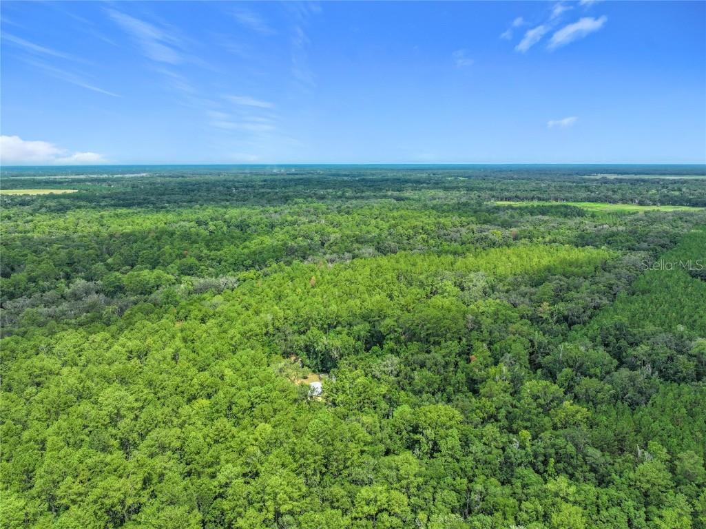 16303 SW 75th Street Archer FL 32618 V4944093 image67