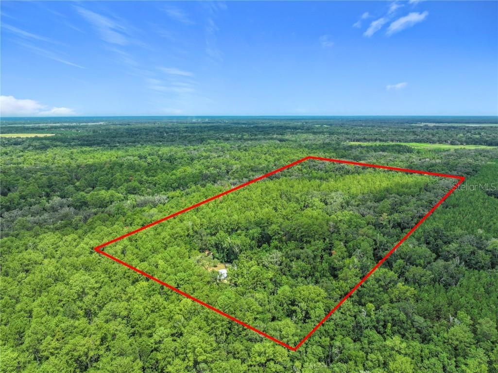 16303 SW 75th Street Archer FL 32618 V4944093 image68