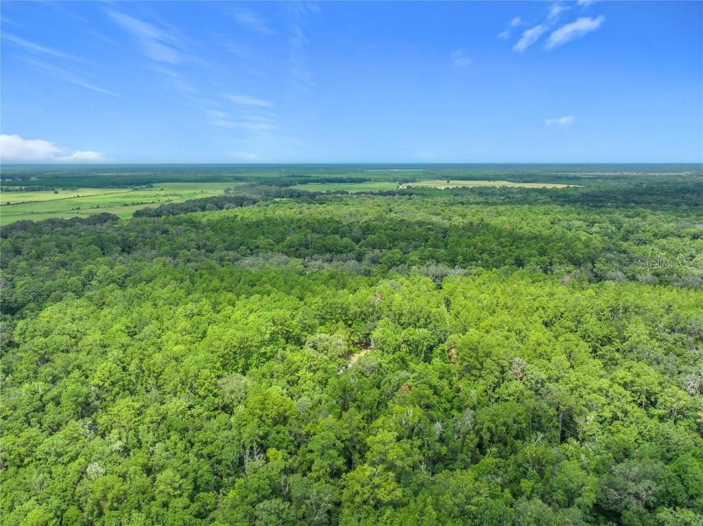 16303 SW 75th Street Archer FL 32618 V4944093 image69