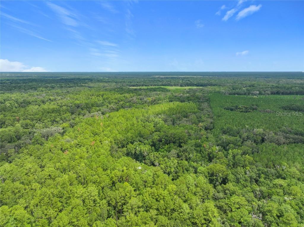 16303 SW 75th Street Archer FL 32618 V4944093 image8