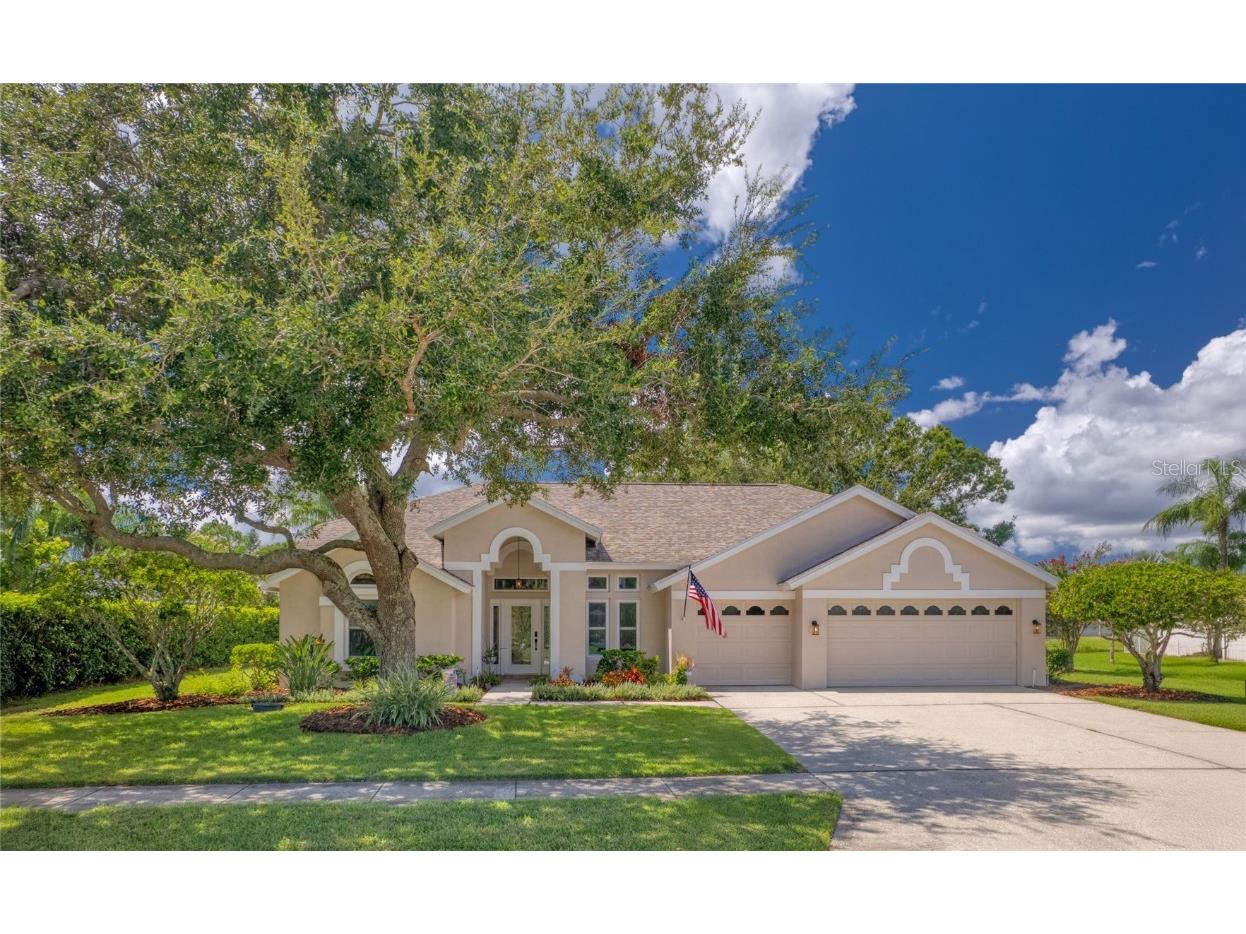 16304 Colwood Drive Odessa FL 33556 TB8418787 image1