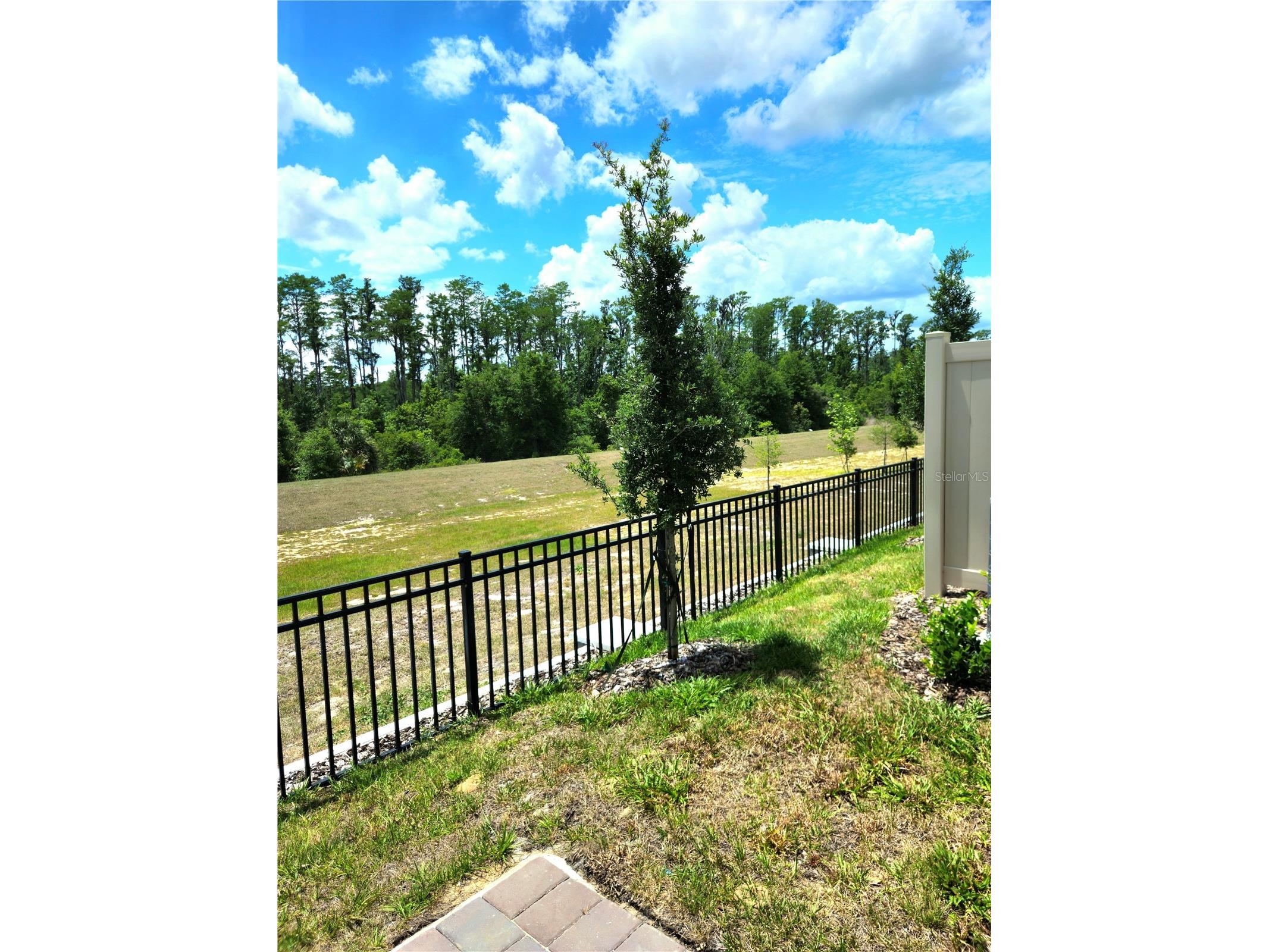 16305 Bird Of Paradise Avenue Clermont FL 34714 O6402367 image36