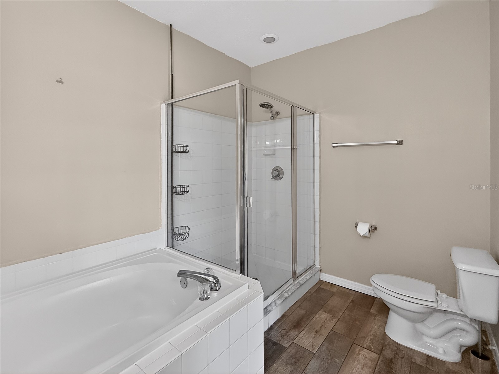 16305 Enclave Village Drive #102 Tampa FL 33647 TB8488566 image52