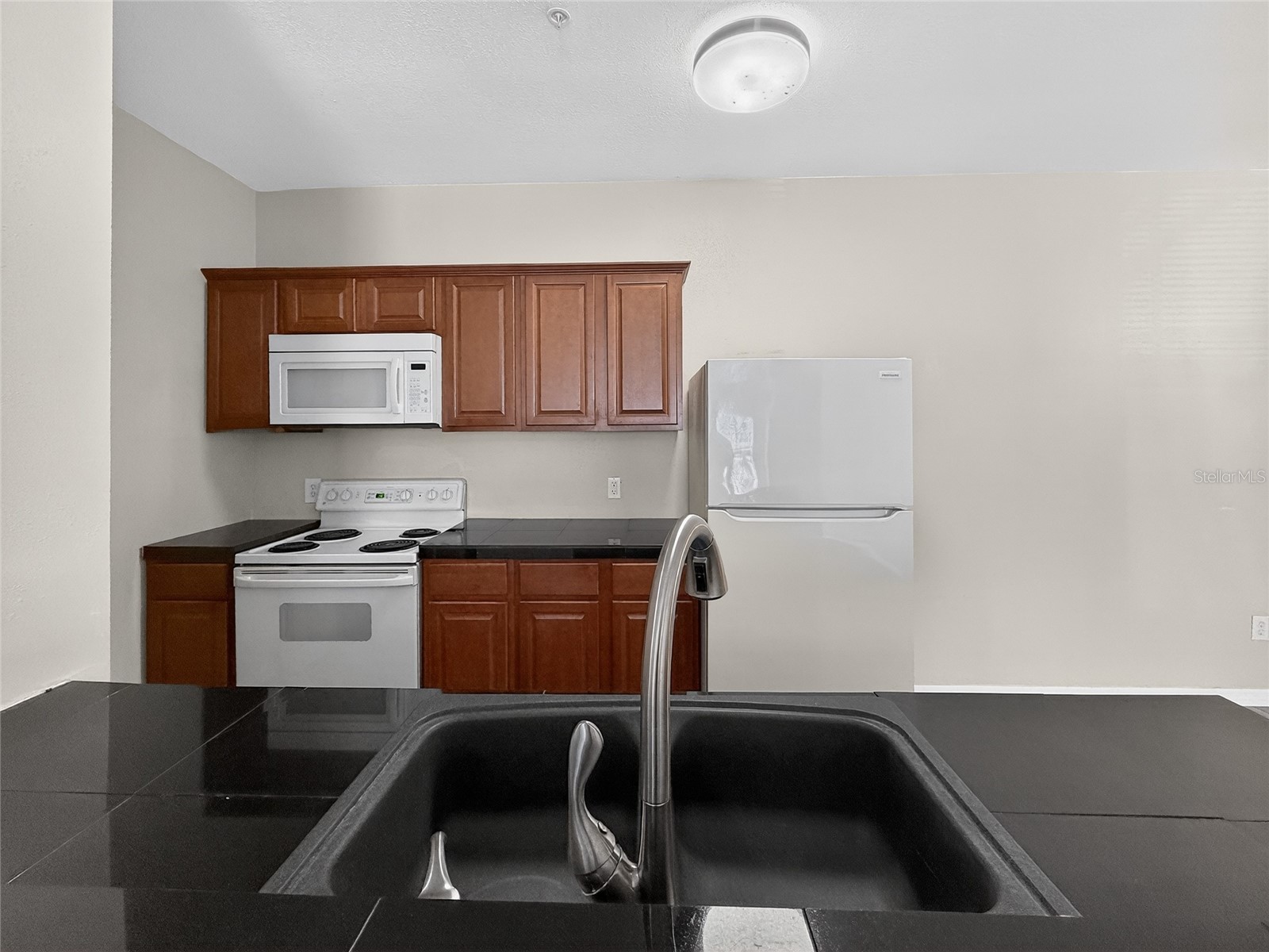 16305 Enclave Village Drive #102 Tampa FL 33647 TB8488566 image6