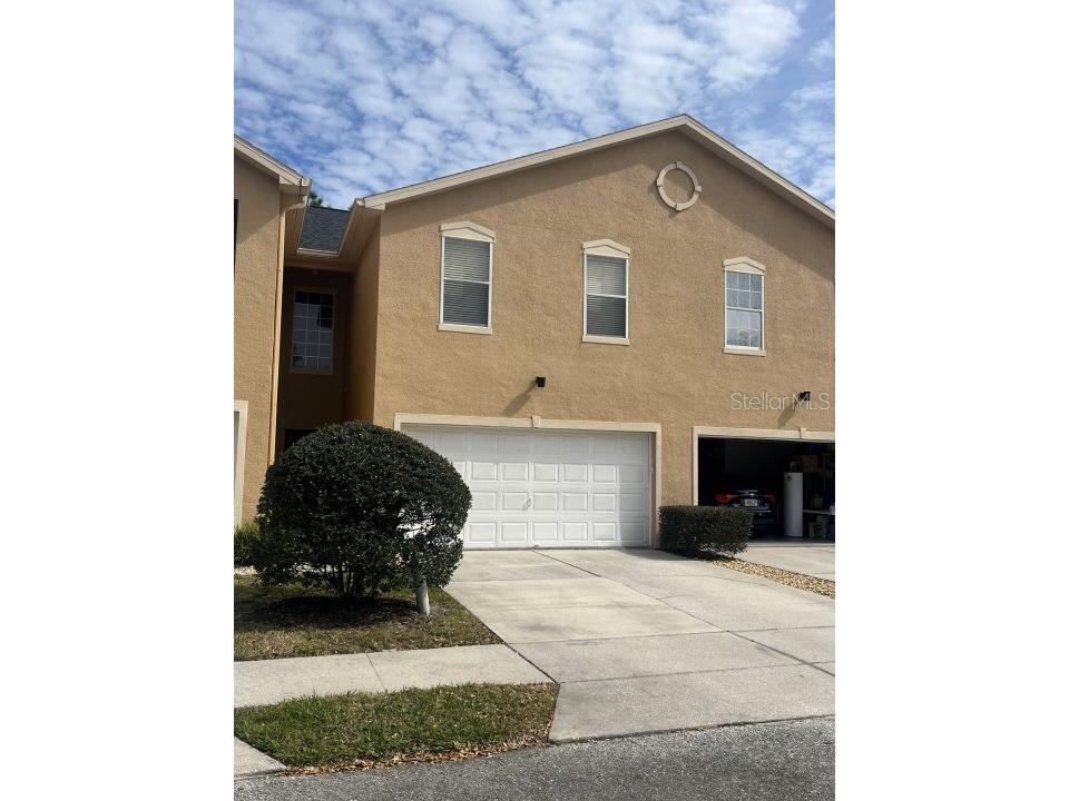 16305 Fairford Palms Court Tampa FL 33647 O6179650 image1