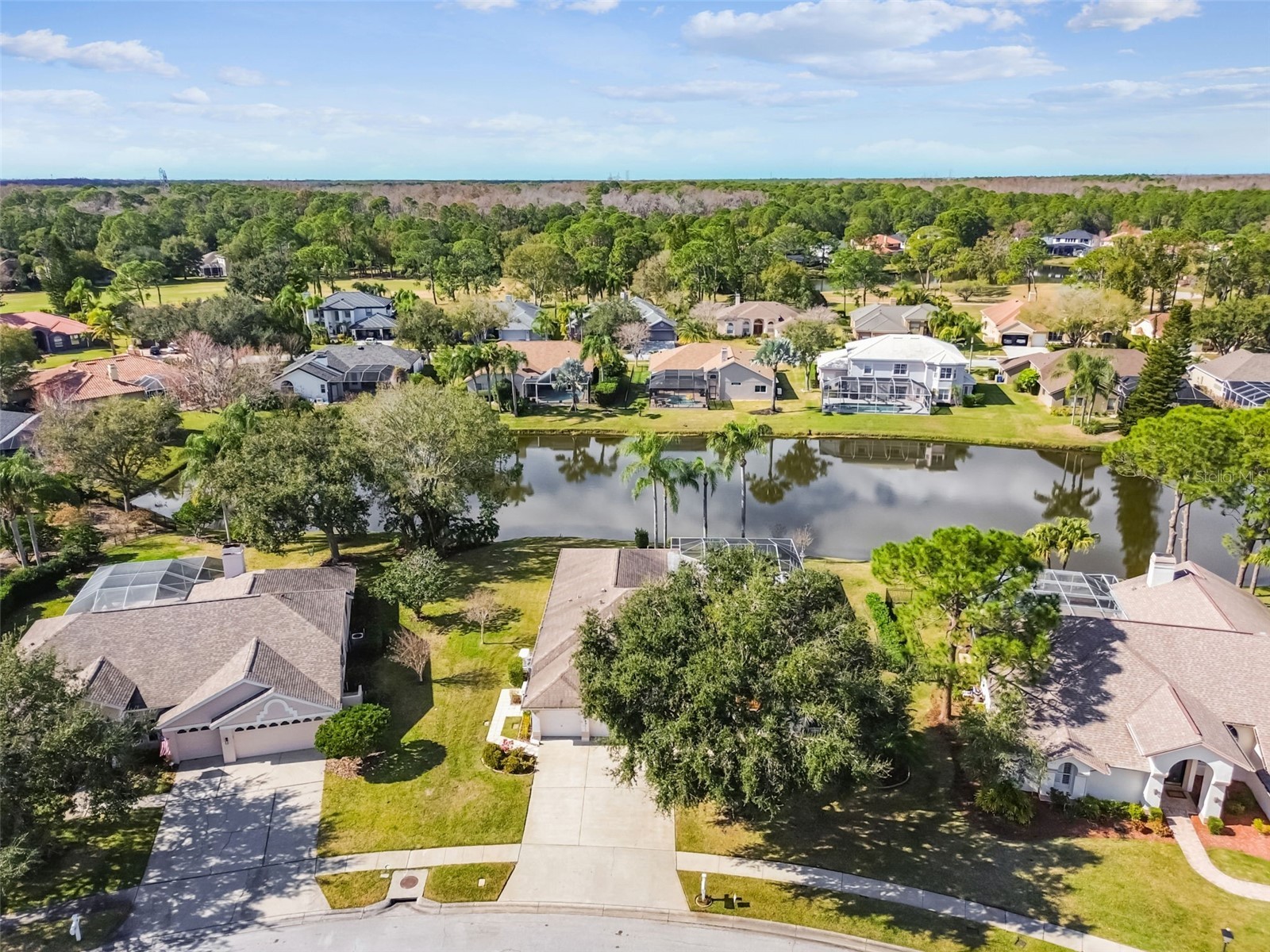 16306 Colwood Drive Odessa FL 33556 TB8469611 image21