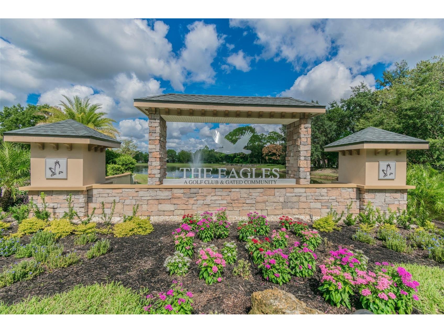 16306 Colwood Drive Odessa FL 33556 TB8469611 image27