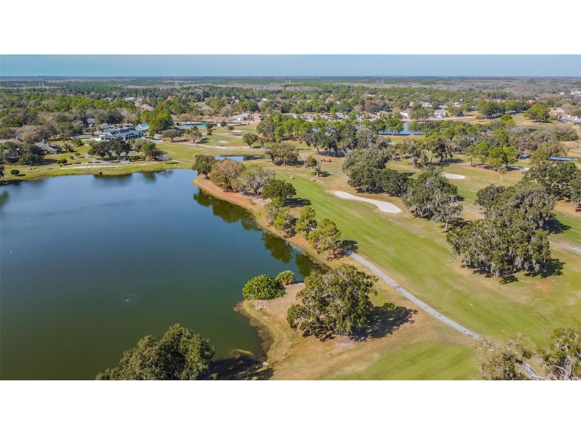 16306 Colwood Drive Odessa FL 33556 TB8469611 image35