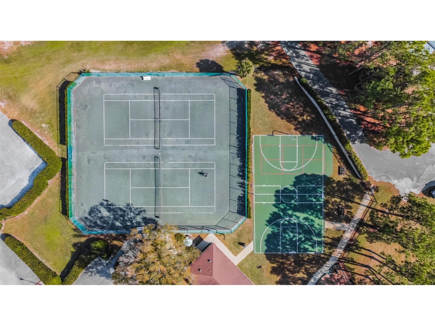 16306 Colwood Drive Odessa FL 33556 TB8469611 image36