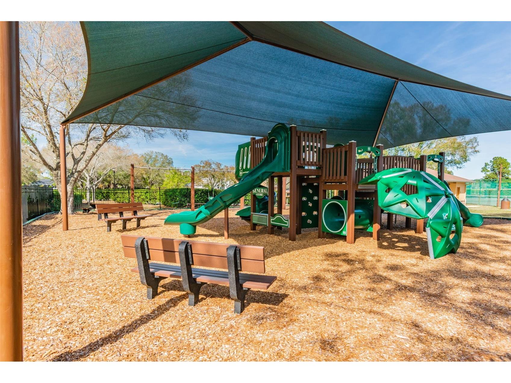 16306 Colwood Drive Odessa FL 33556 TB8469611 image38