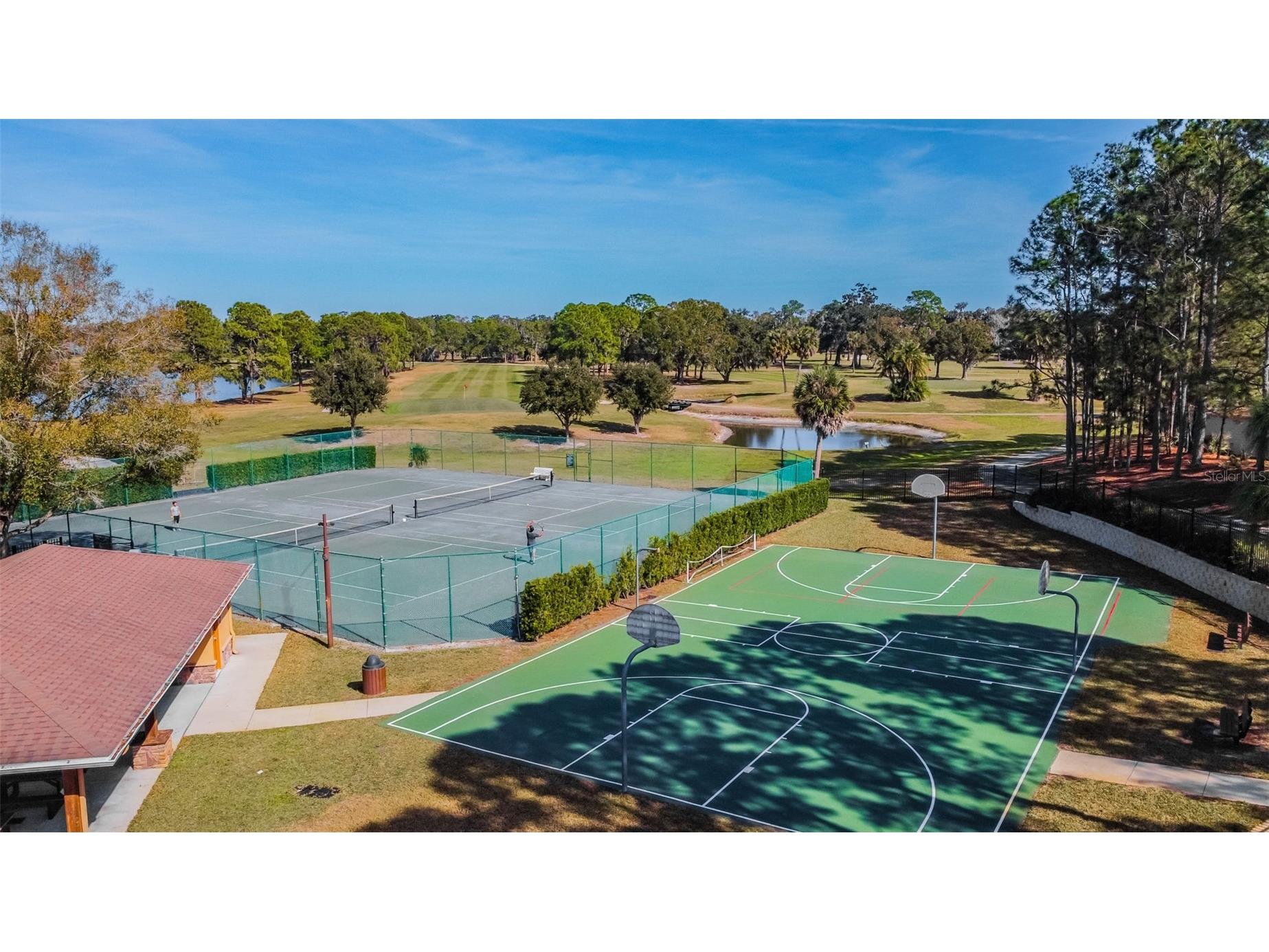 16306 Colwood Drive Odessa FL 33556 TB8469611 image40