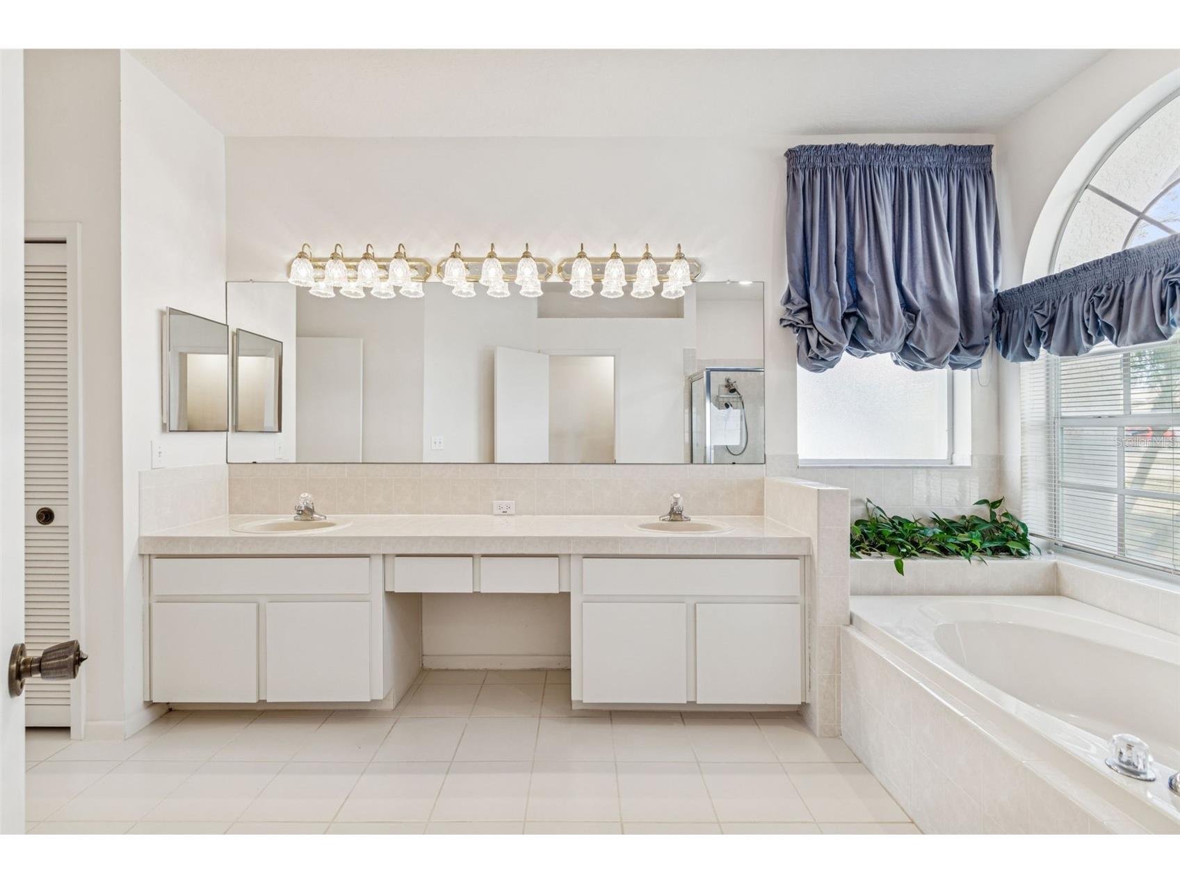 16306 Colwood Drive Odessa FL 33556 TB8469611 image7