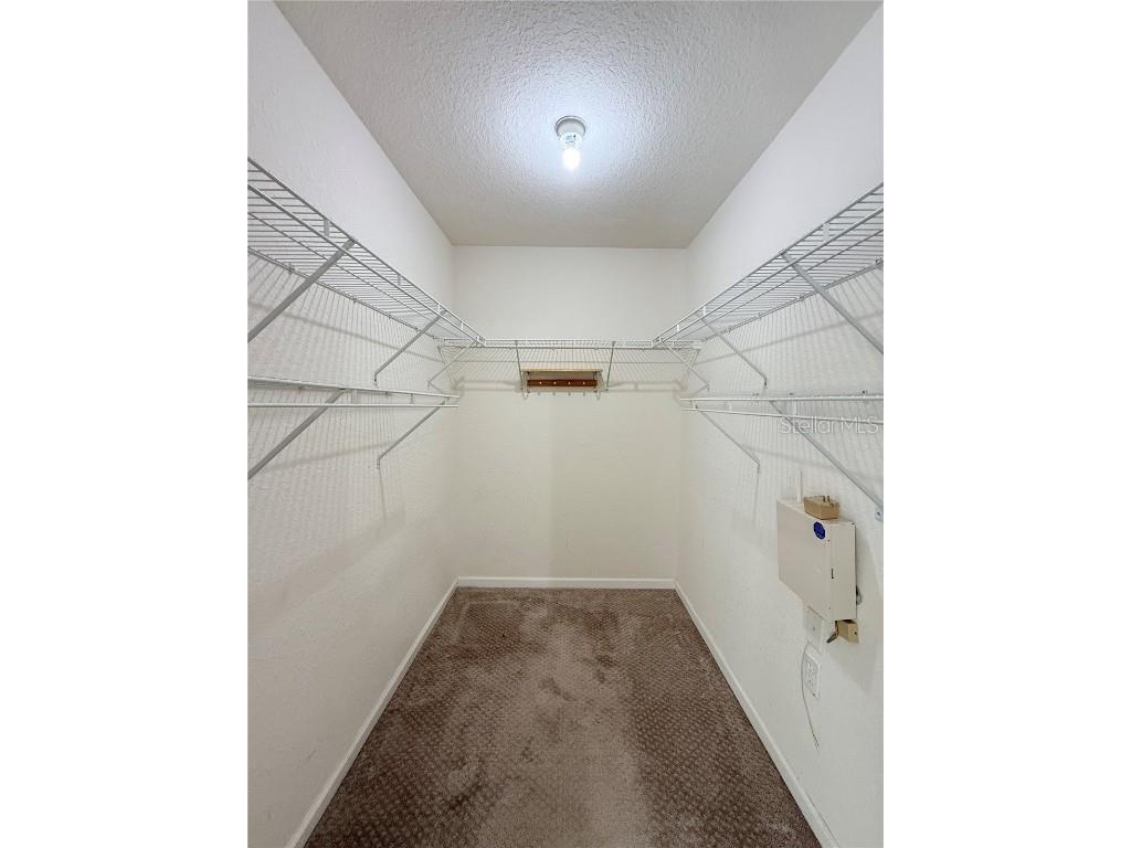 16306 Parkstone Palms Court Tampa FL 33647 TB8451881 image10