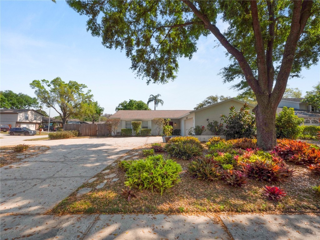 16307 Alladin Way Tampa FL 33624 T3432136 image1