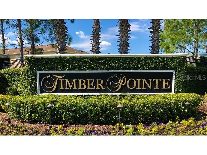 16307 Old Ash Loop Orlando FL 32828 O6272322 image26