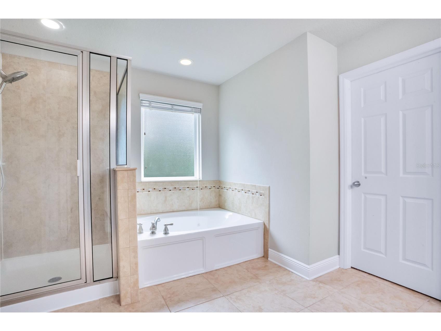 16308 Bayberry View Drive Lithia FL 33547 L4962281 image27