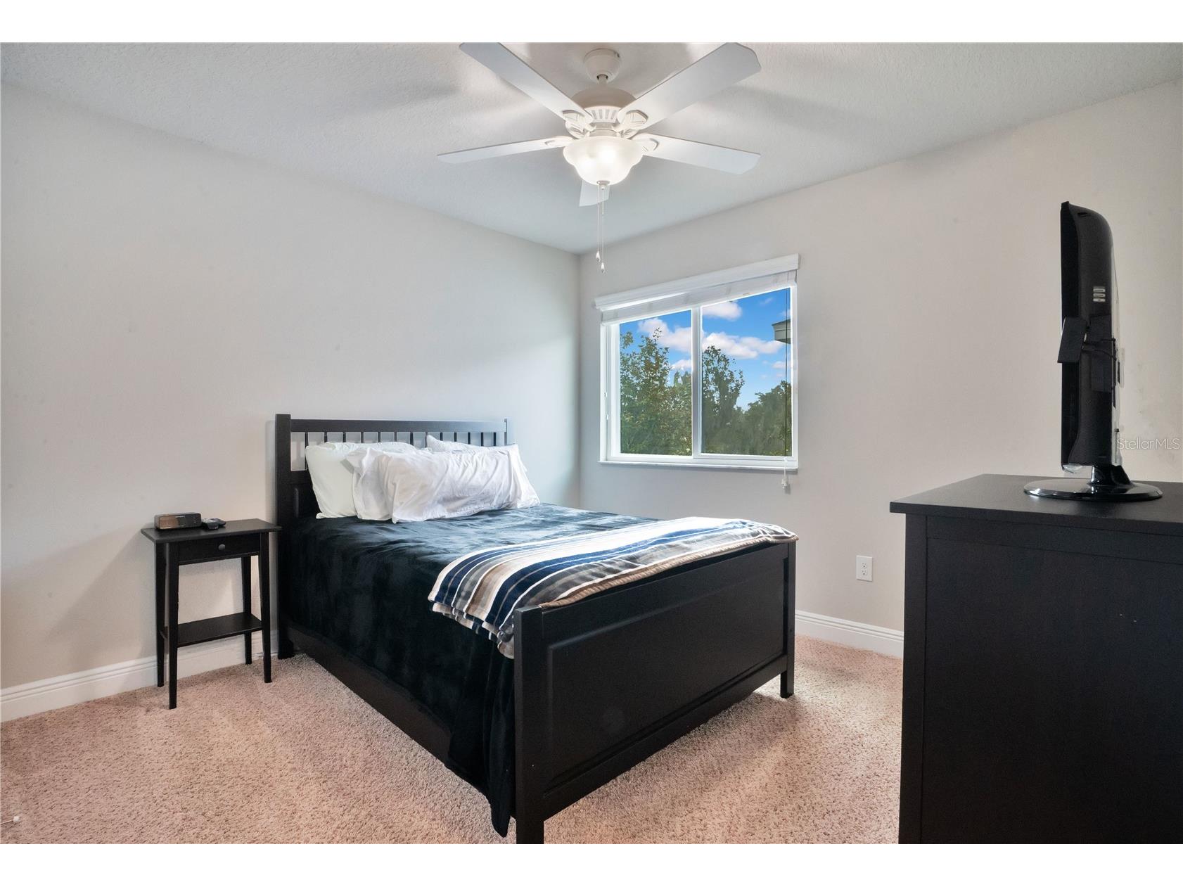 16308 Bayberry View Drive Lithia FL 33547 L4962281 image29