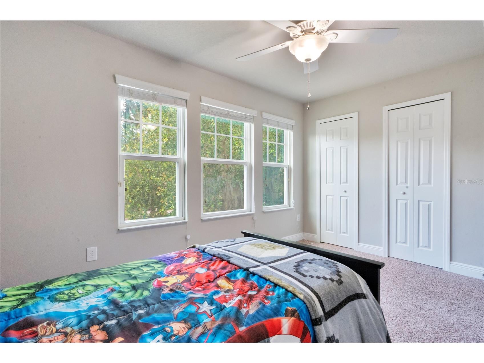 16308 Bayberry View Drive Lithia FL 33547 L4962281 image32