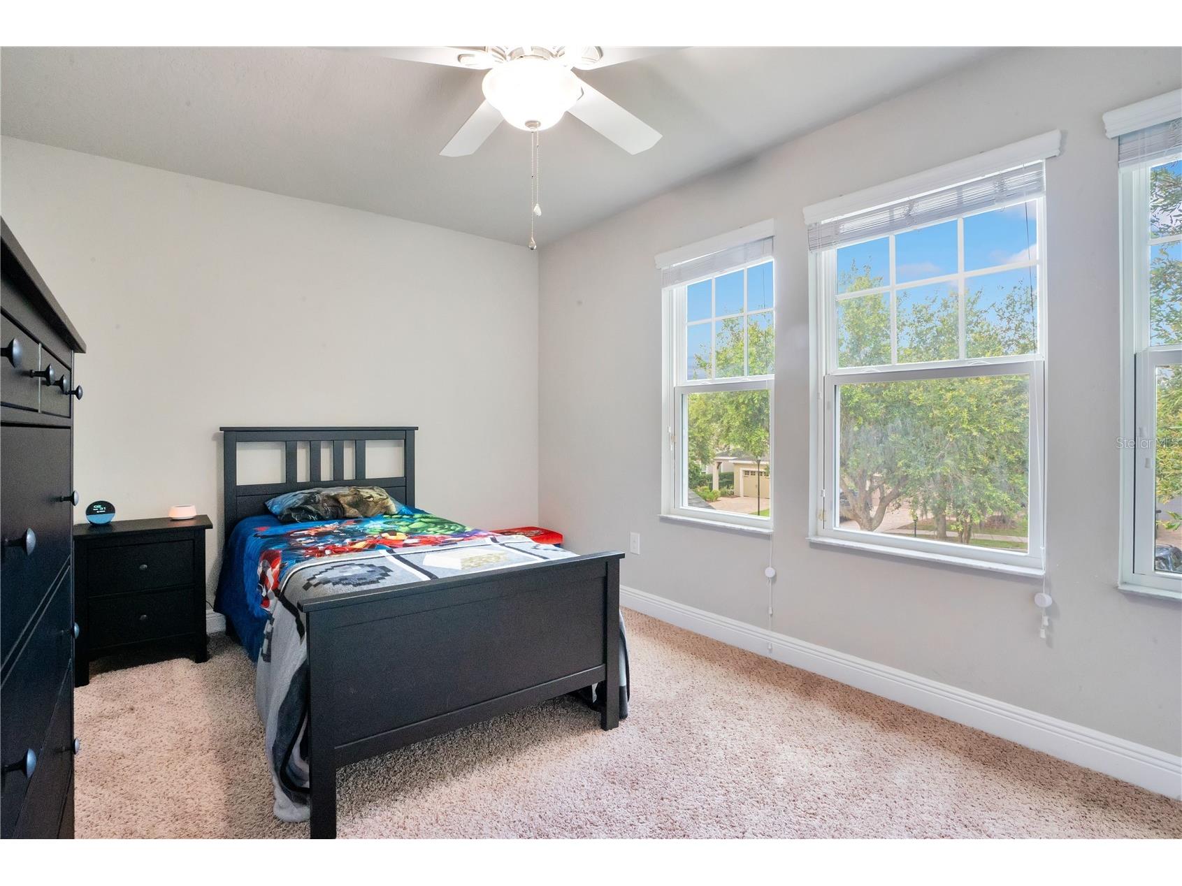 16308 Bayberry View Drive Lithia FL 33547 L4962281 image34