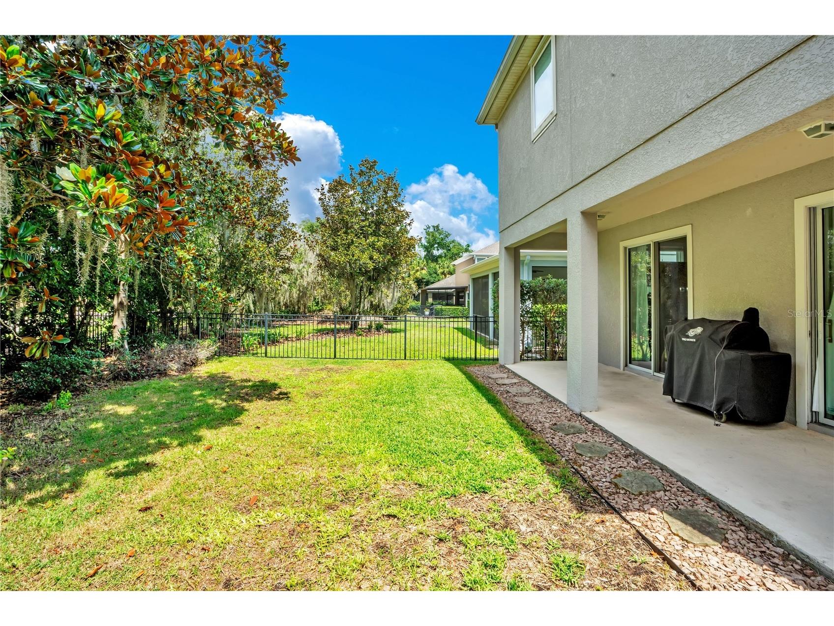 16308 Bayberry View Drive Lithia FL 33547 L4962281 image39