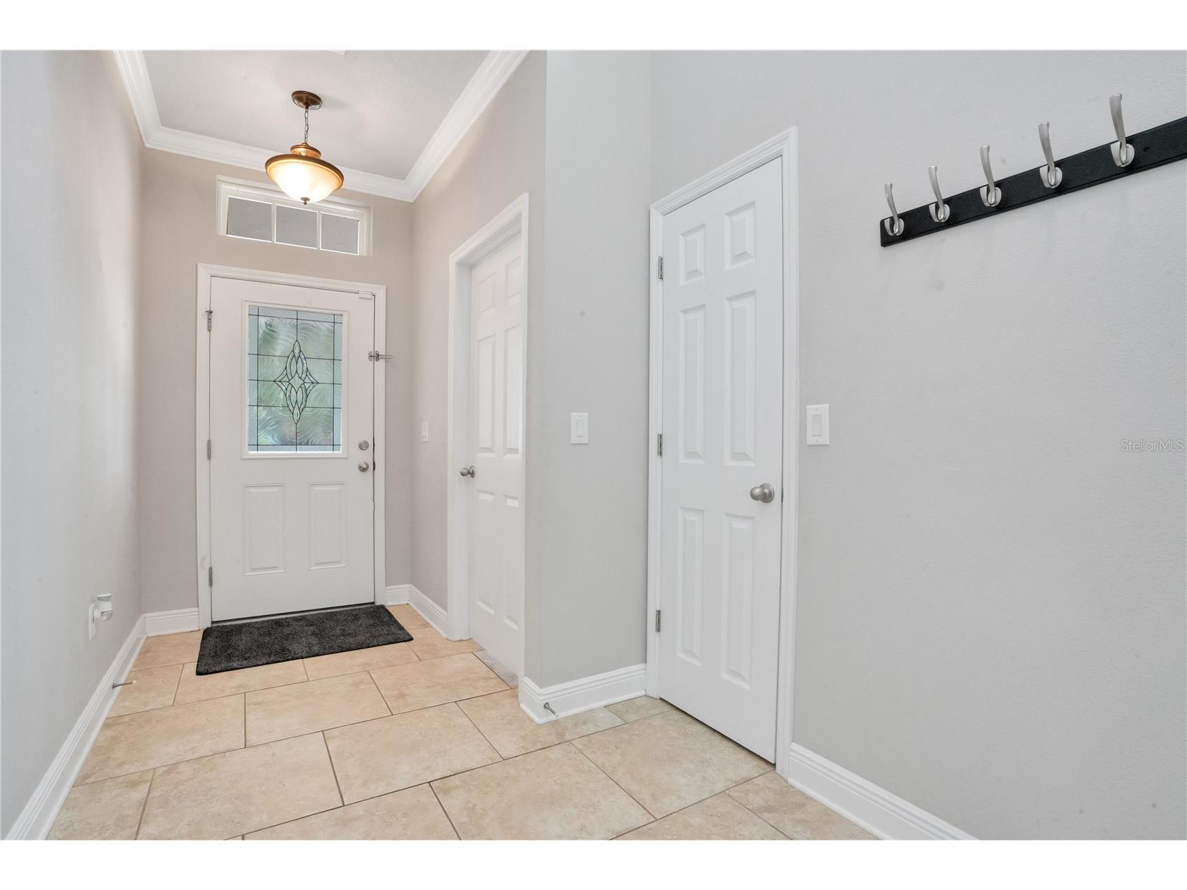 16308 Bayberry View Drive Lithia FL 33547 L4962281 image4