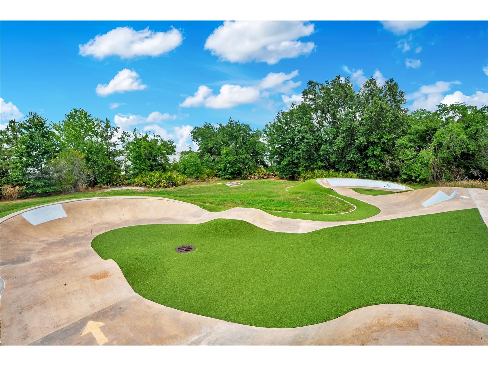 16308 Bayberry View Drive Lithia FL 33547 L4962281 image49