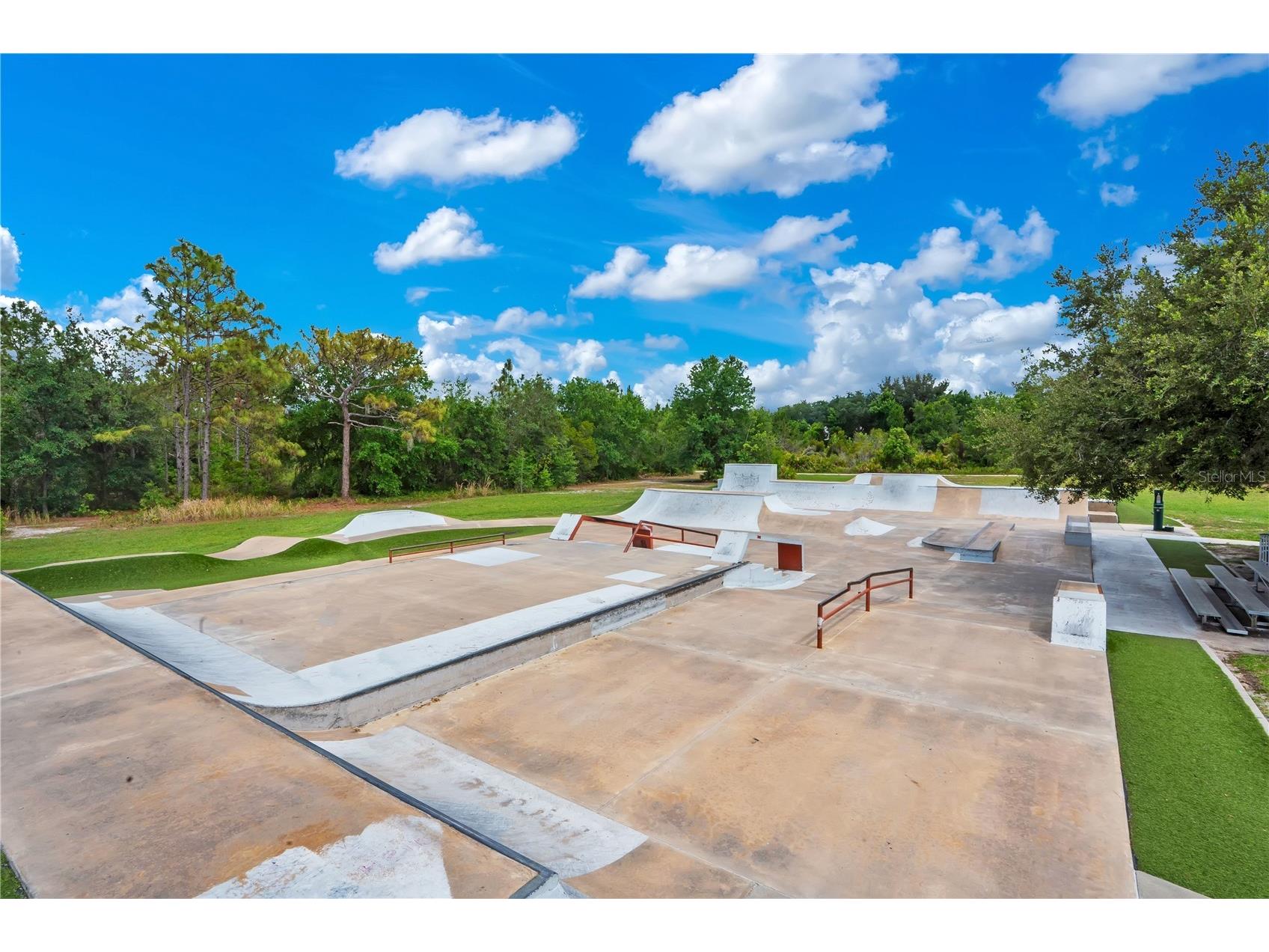 16308 Bayberry View Drive Lithia FL 33547 L4962281 image50