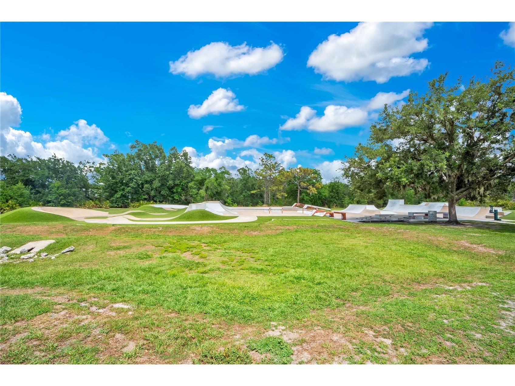 16308 Bayberry View Drive Lithia FL 33547 L4962281 image51