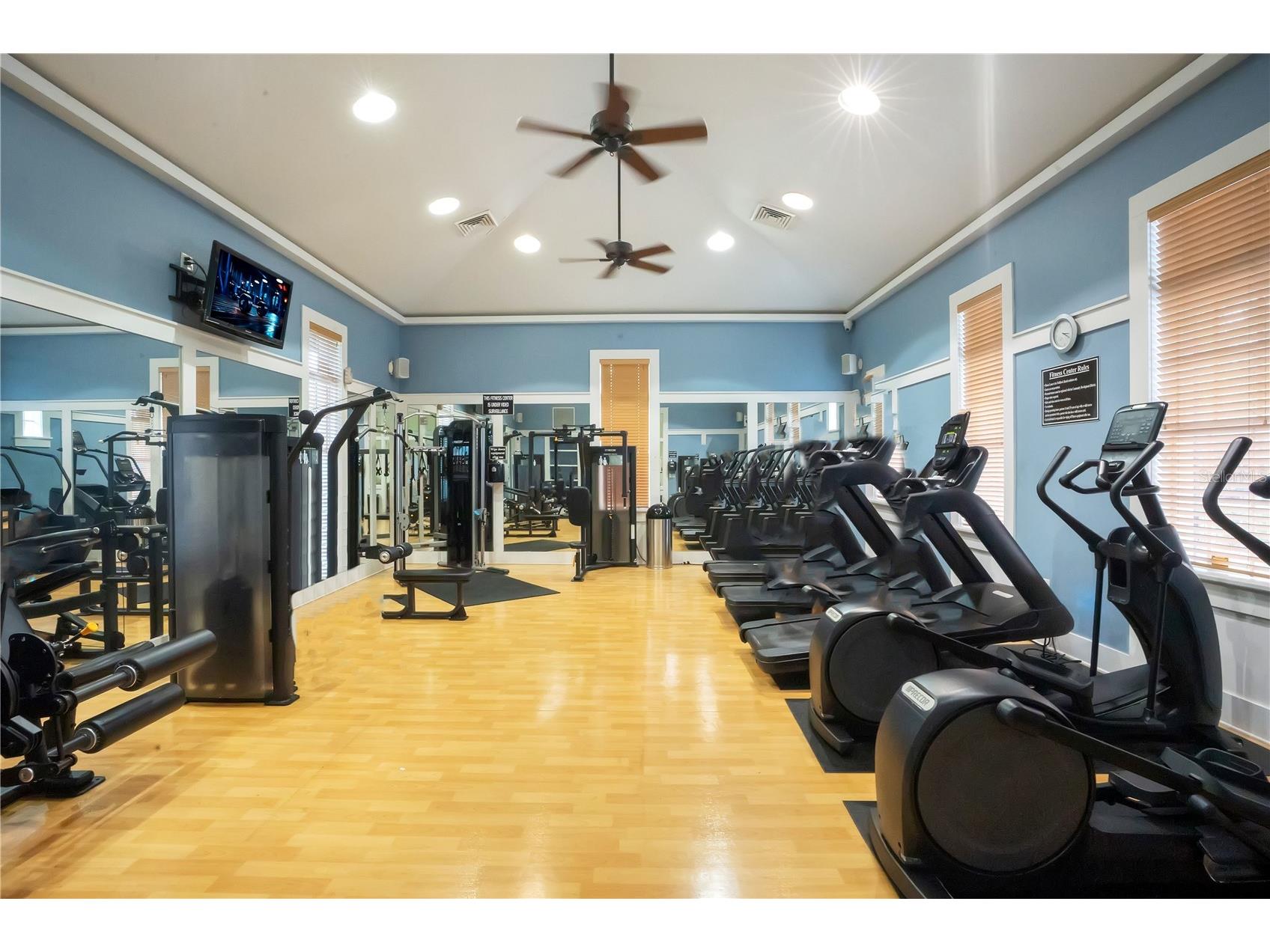16308 Bayberry View Drive Lithia FL 33547 L4962281 image54