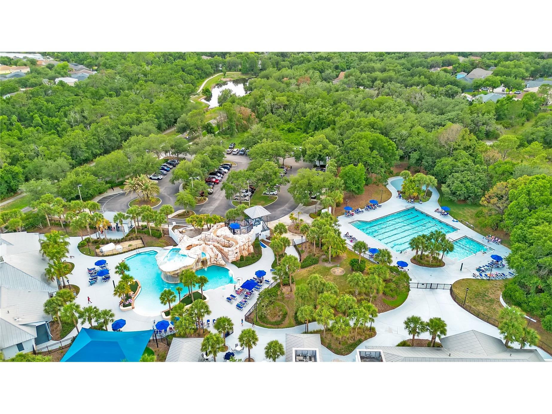 16308 Bayberry View Drive Lithia FL 33547 L4962281 image56