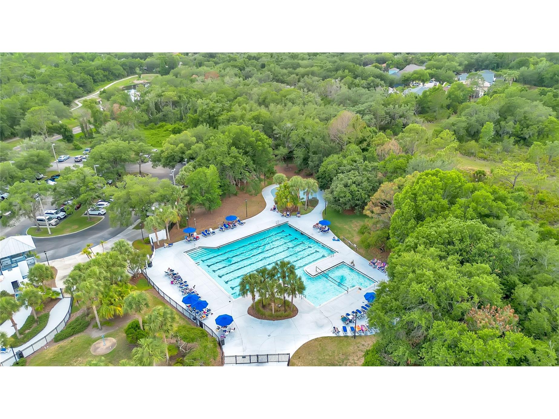 16308 Bayberry View Drive Lithia FL 33547 L4962281 image58