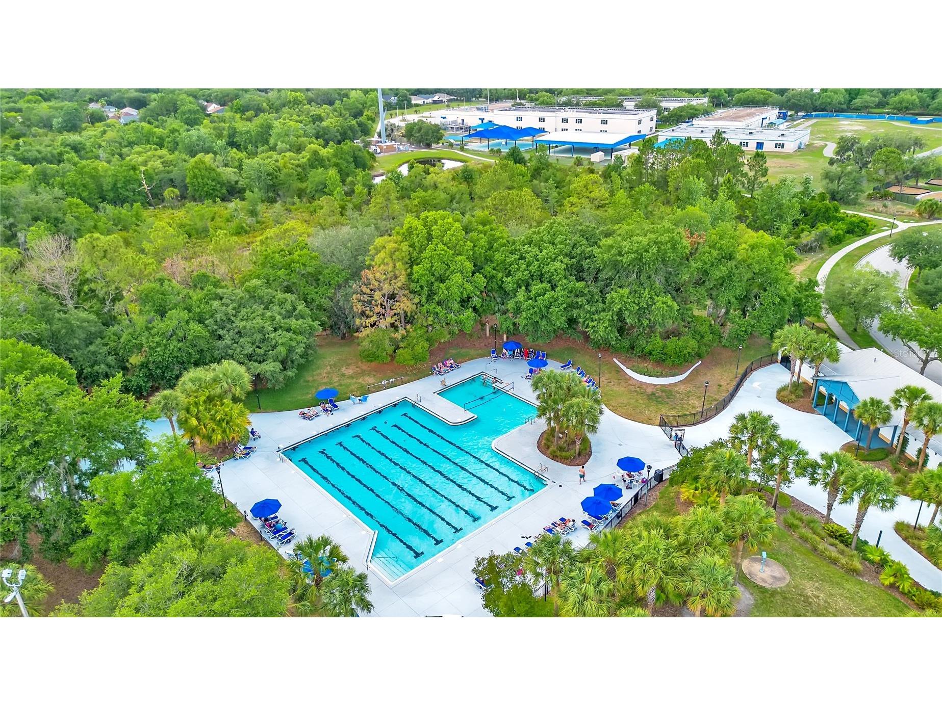 16308 Bayberry View Drive Lithia FL 33547 L4962281 image63