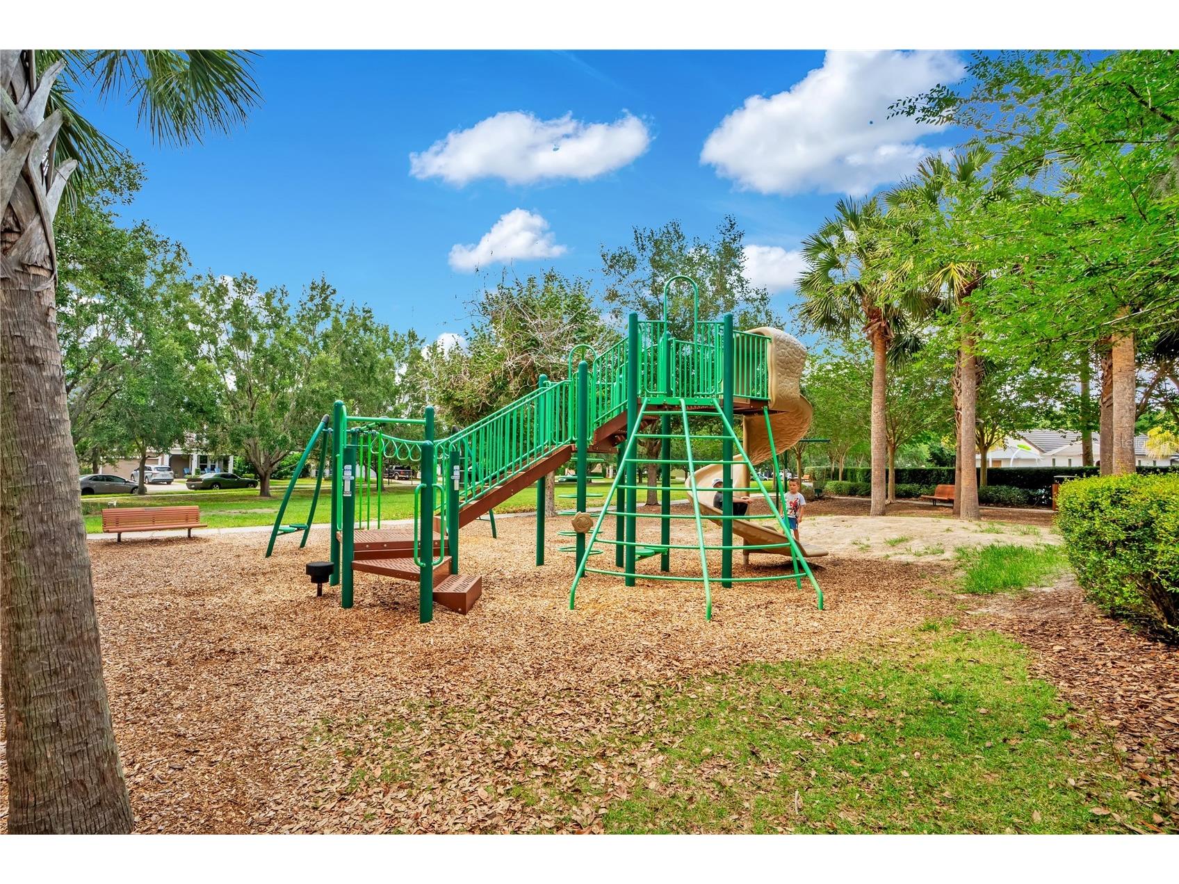 16308 Bayberry View Drive Lithia FL 33547 L4962281 image66