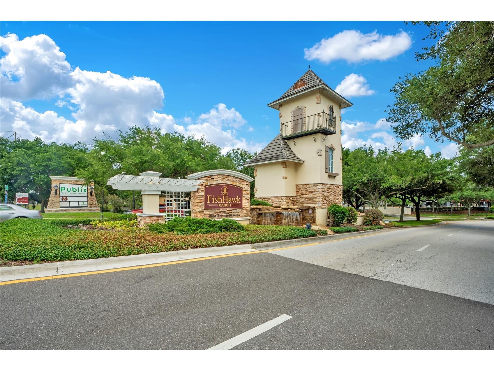 16308 Bayberry View Drive Lithia FL 33547 L4962281 image70