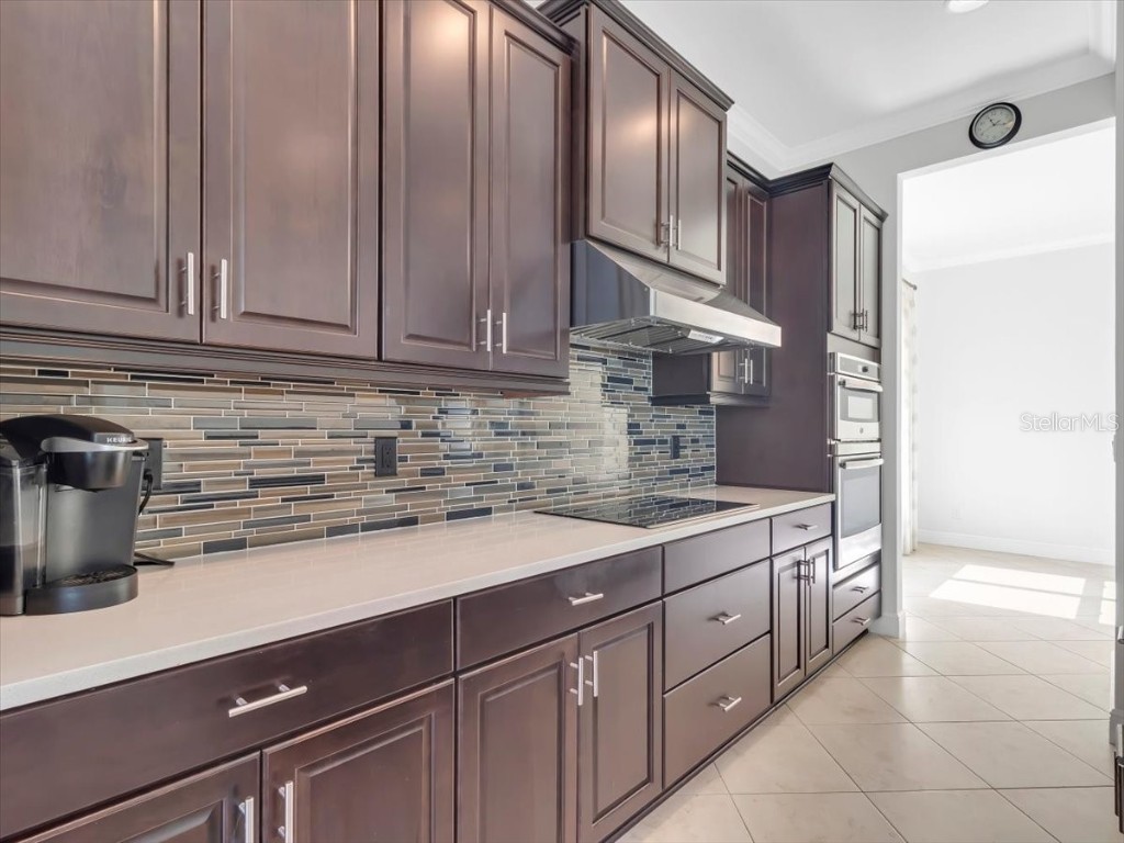 16308 Garnet Glen Place Wimauma FL 33598 TB8448973 image19