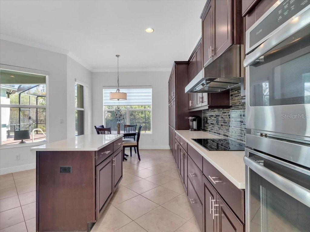 16308 Garnet Glen Place Wimauma FL 33598 TB8448973 image22