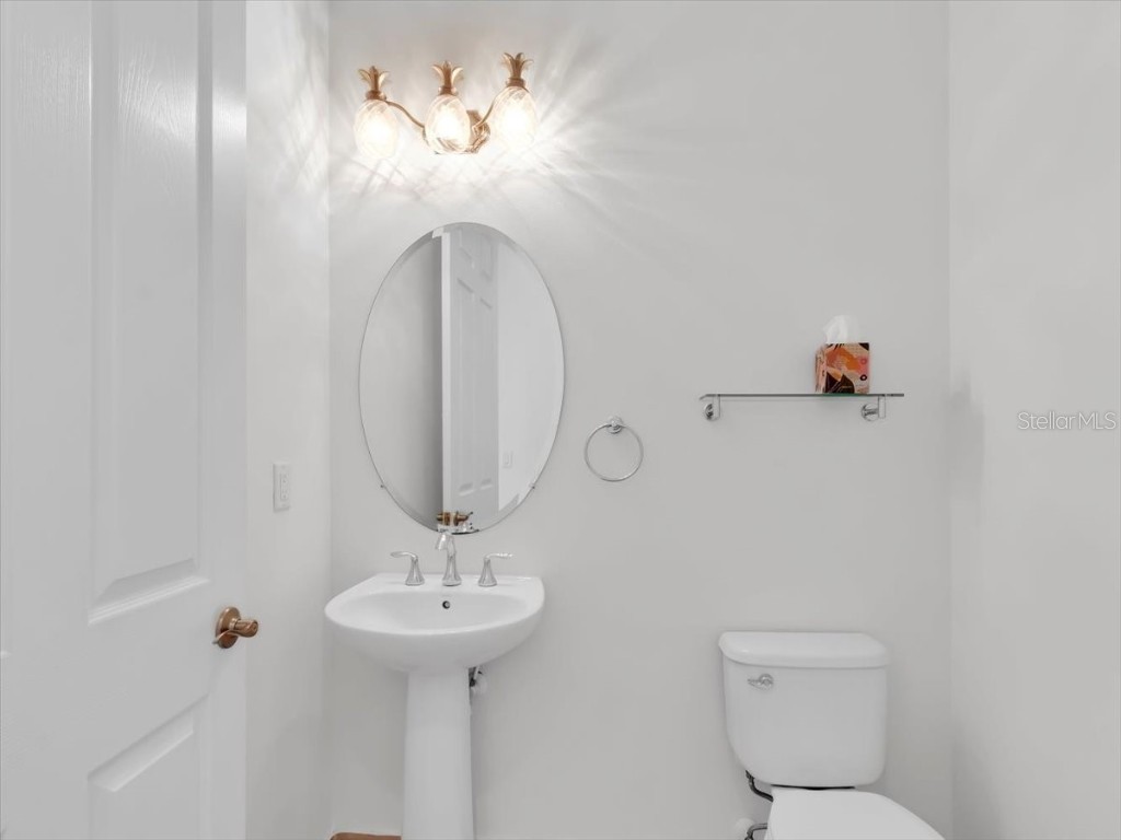 16308 Garnet Glen Place Wimauma FL 33598 TB8448973 image23