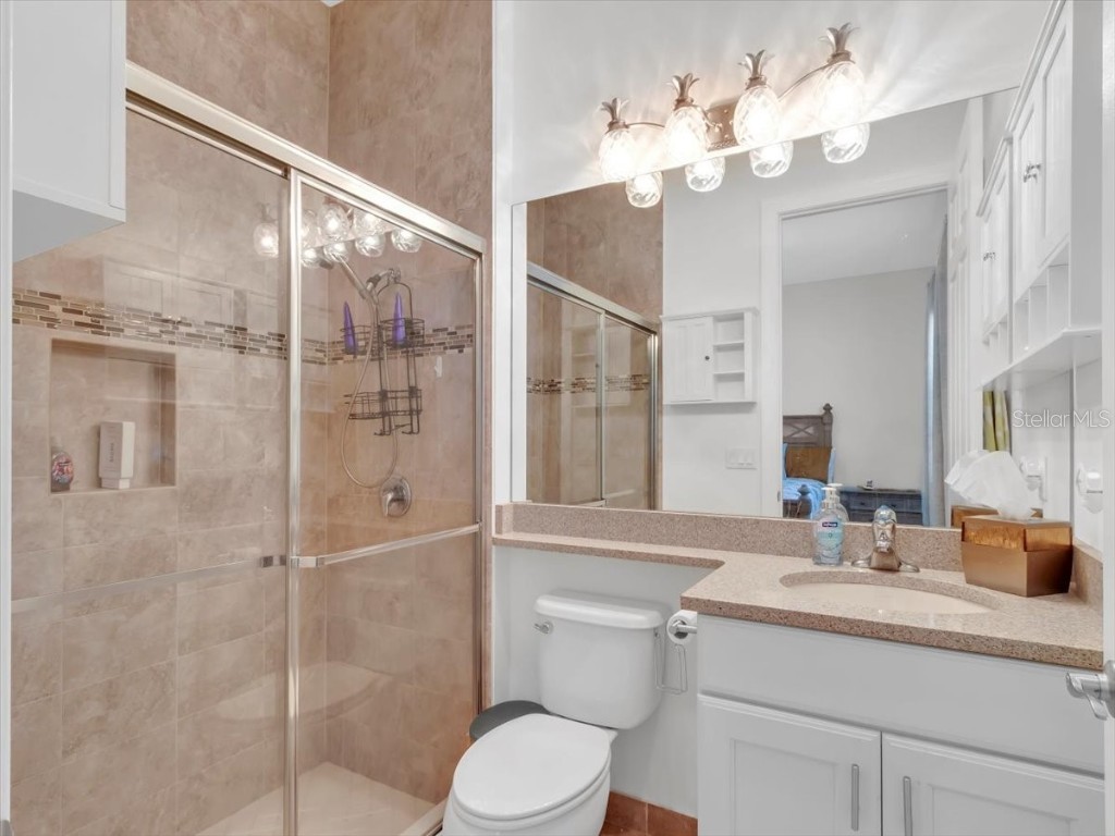 16308 Garnet Glen Place Wimauma FL 33598 TB8448973 image44